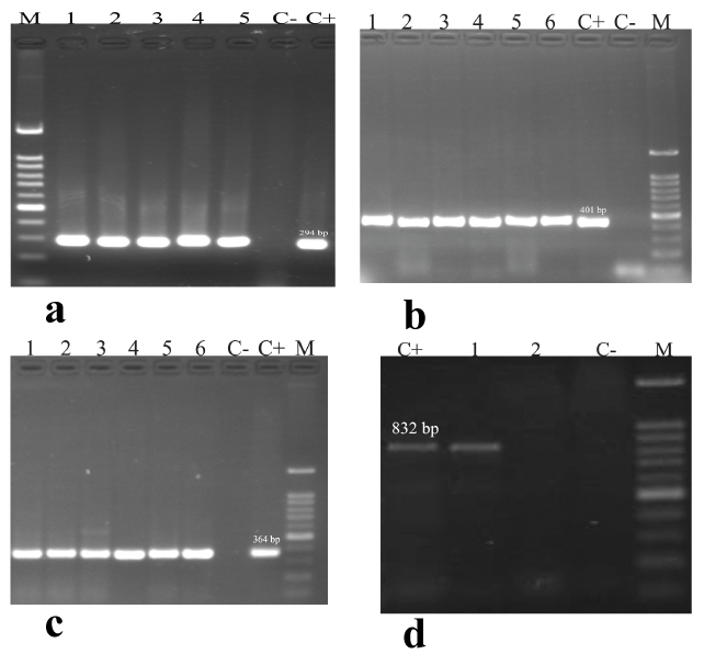 [Table/Fig-2]: