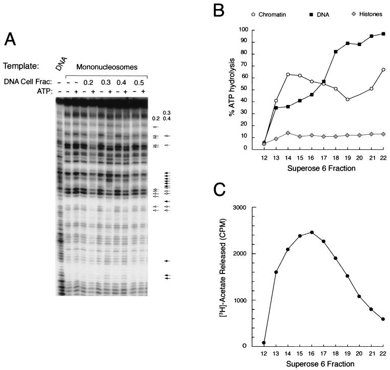 FIG. 6