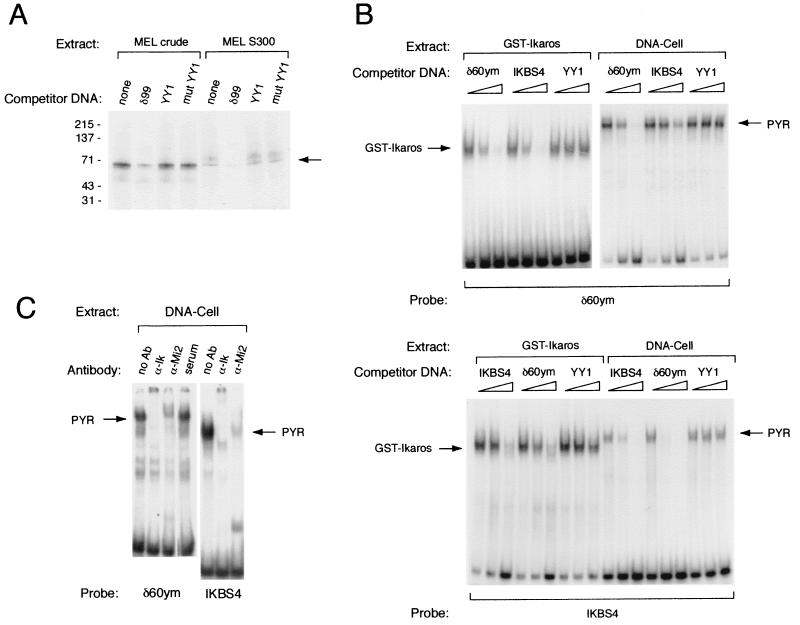 FIG. 3