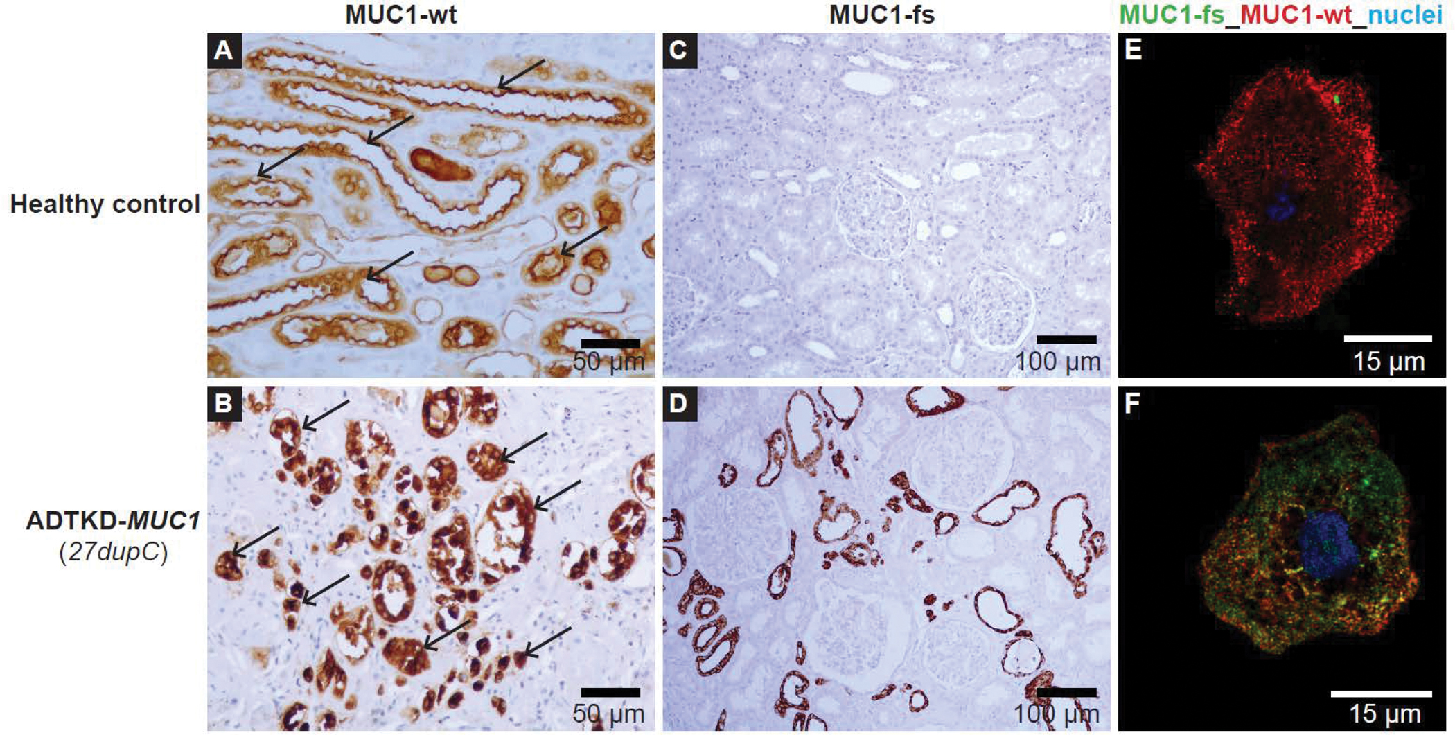 Figure 3: