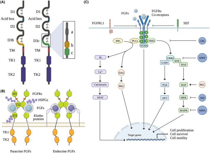 FIGURE 1