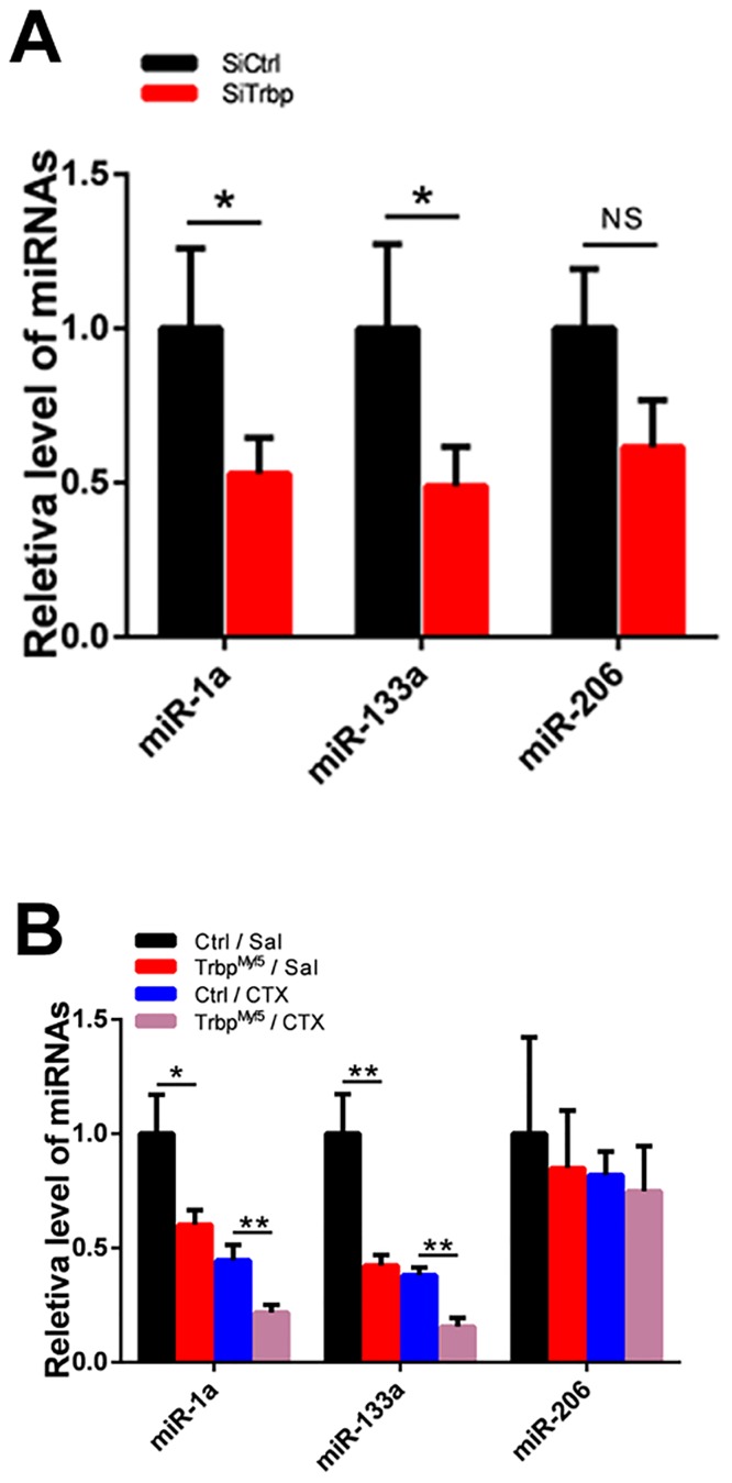 Fig 7