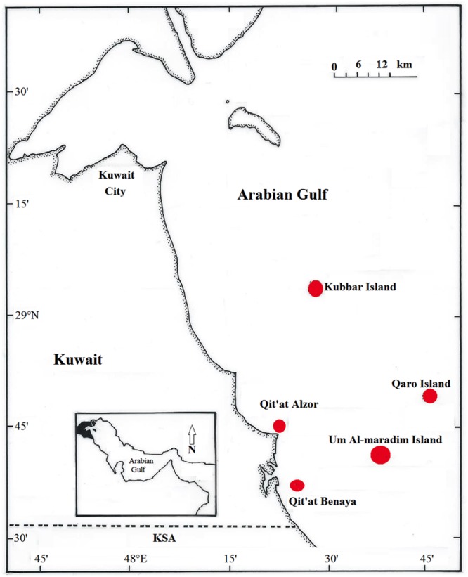 FIGURE 1