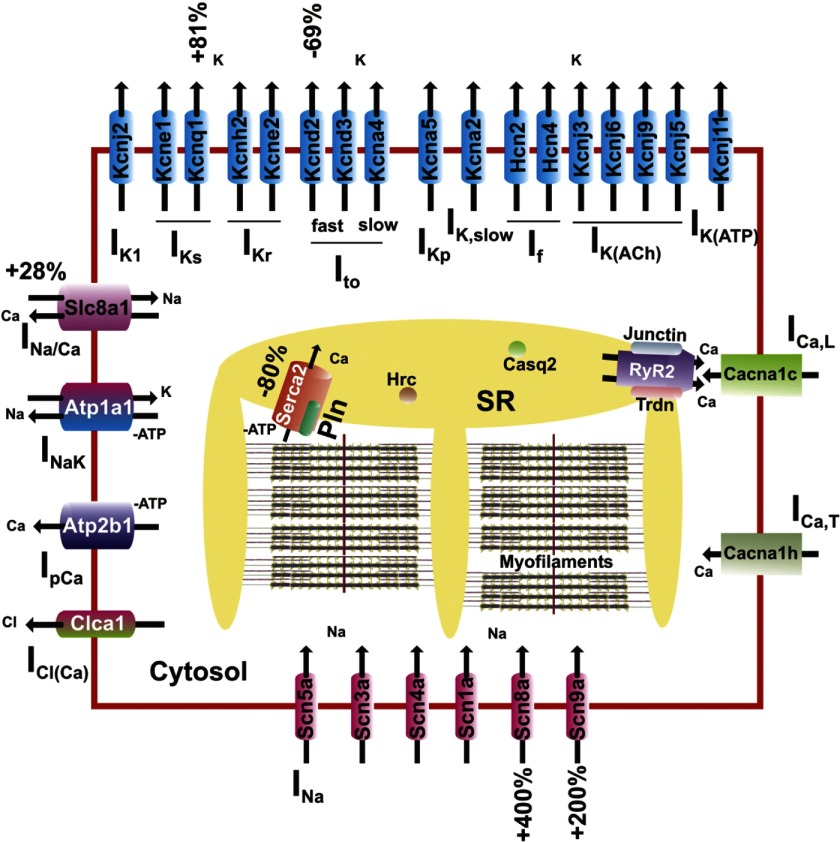 Fig. 1.