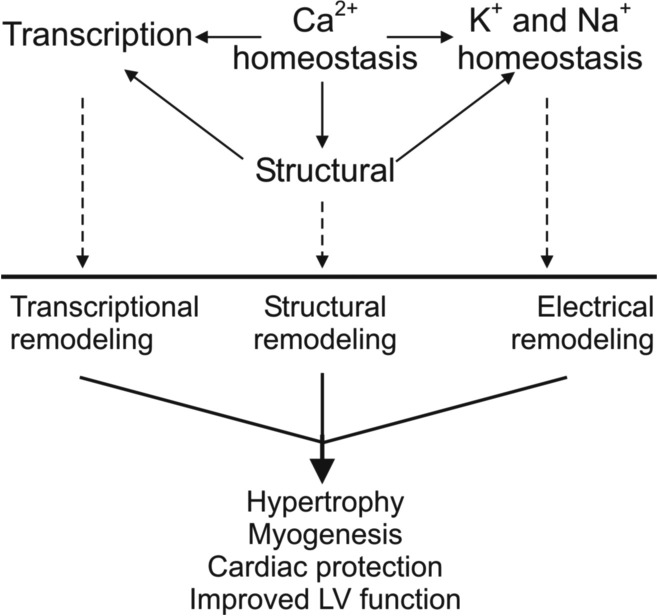 Fig. 7.