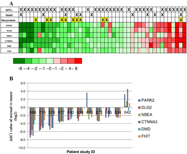 Figure 1