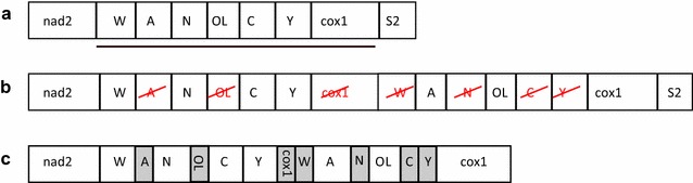 Fig. 6