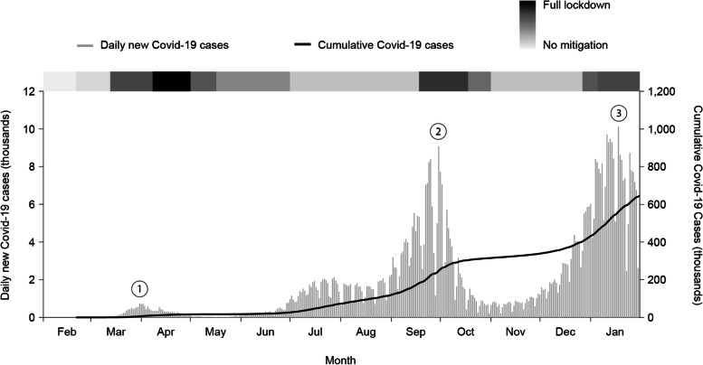 Fig. 1