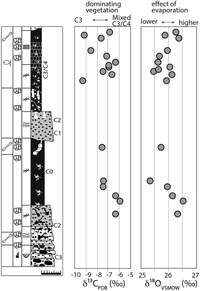 Figure 5