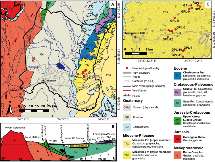 Figure 3