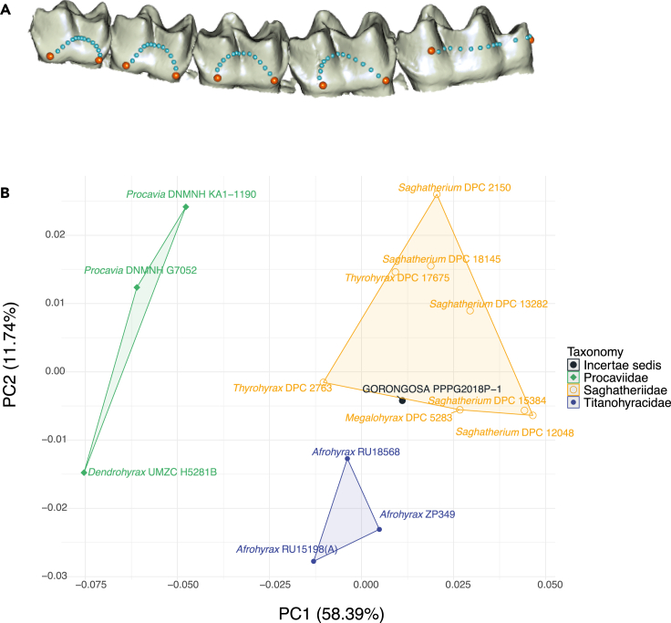 Figure 12