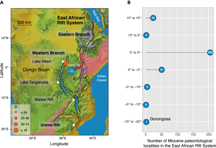 Figure 1