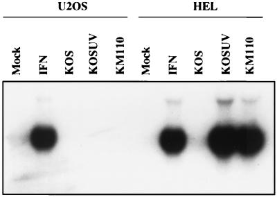 FIG. 7