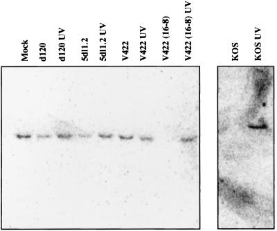 FIG. 6