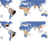 Figure 1—figure supplement 4.