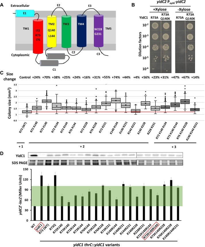 Fig 3