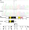 Figure 1 -