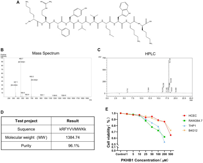 FIGURE 1