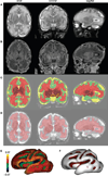 Figure 15