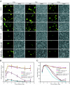 FIG. 4.