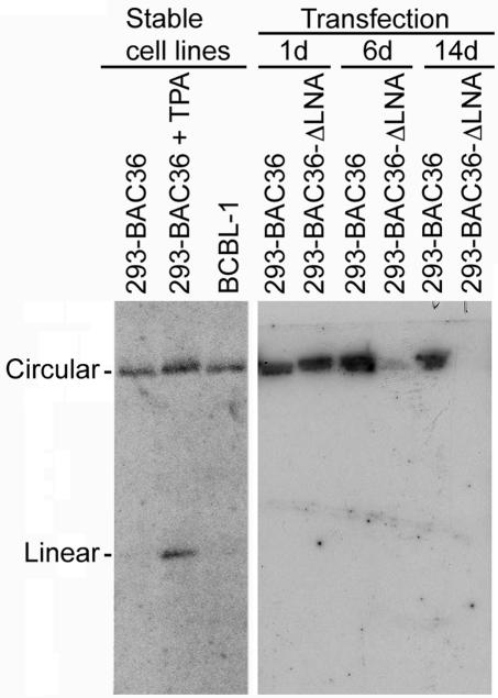 FIG. 5.