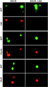 FIG. 3.