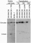 FIG. 5.