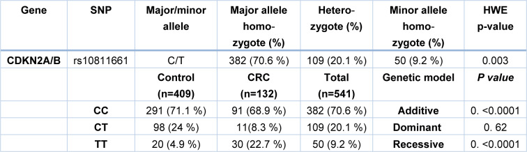 Table 3