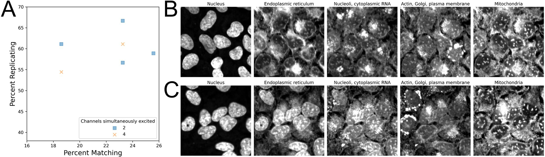 Figure 4: