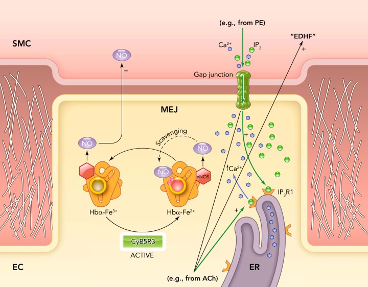 FIGURE 2.