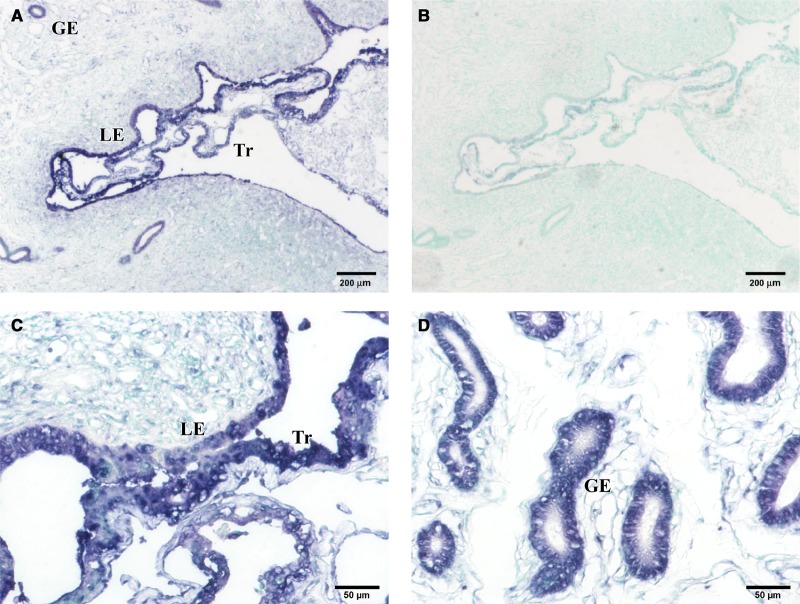 Figure 3.