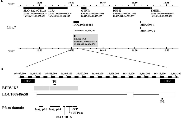 Figure 1.