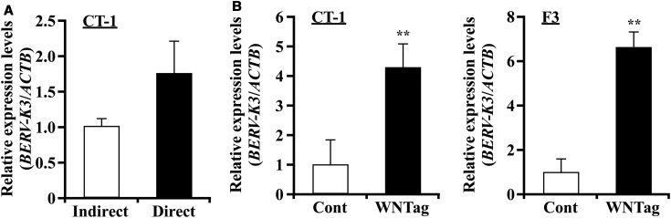 Figure 5.