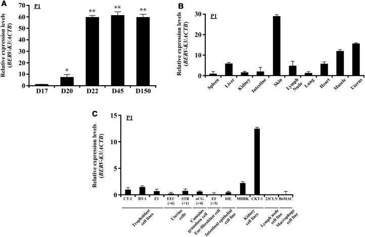 Figure 2.