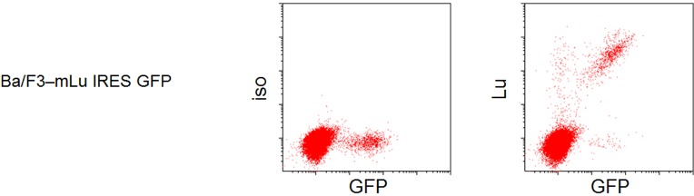 Figure 1—figure supplement 4.