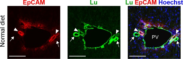 Figure 1—figure supplement 3.