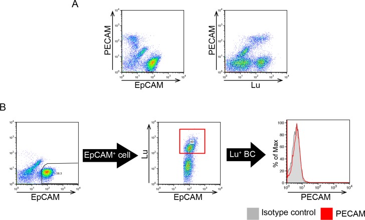 Figure 2—figure supplement 1.