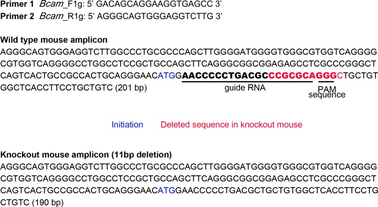 Figure 6—figure supplement 1.