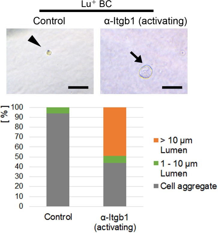 Figure 5—figure supplement 4.