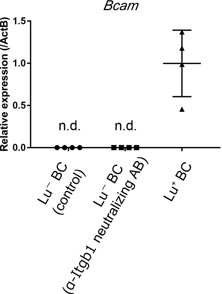 Figure 5—figure supplement 3.