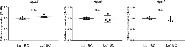 Figure 5—figure supplement 2.