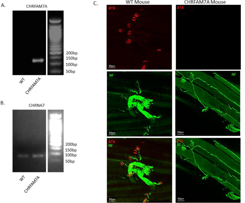 Figure 3: