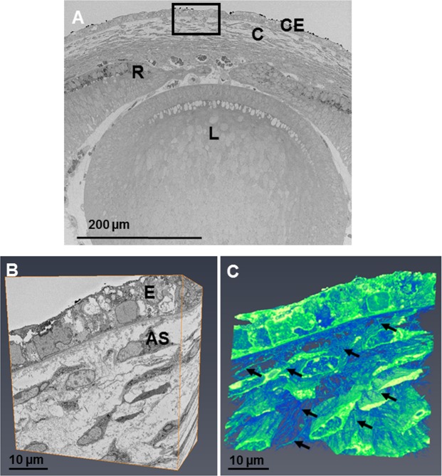 Figure 7