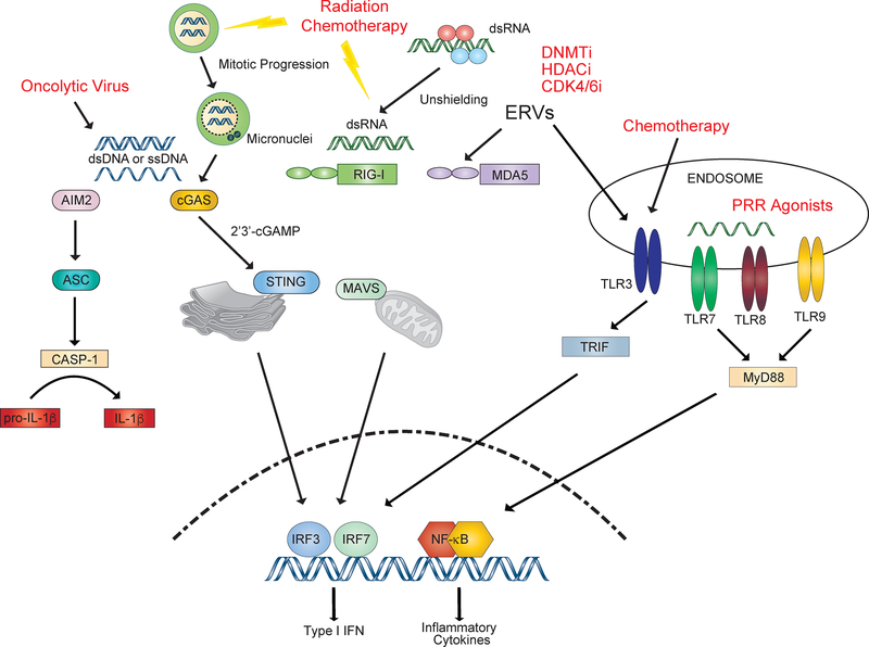 Figure 3: