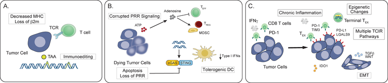 Figure 2: