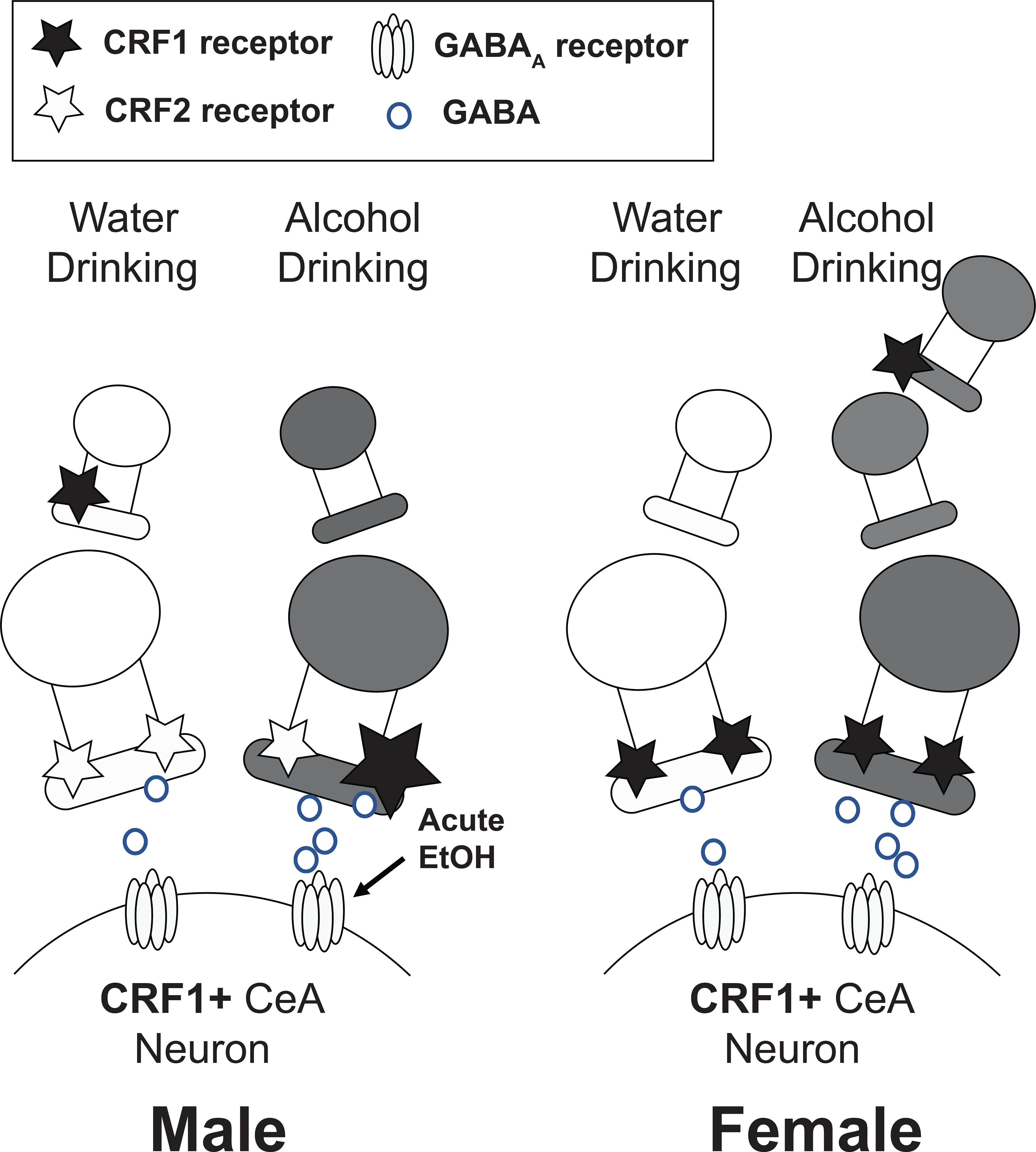 Figure 10.