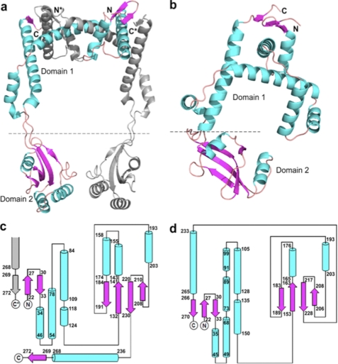 FIGURE 1.