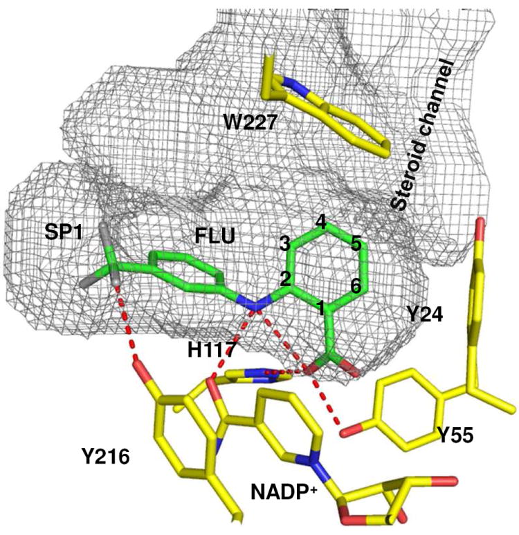 Figure 4