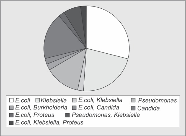 Graph 2