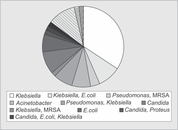 Graph 1